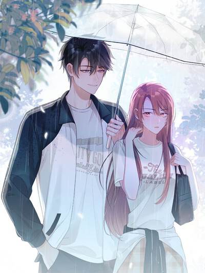 钢之炼金术师 封面